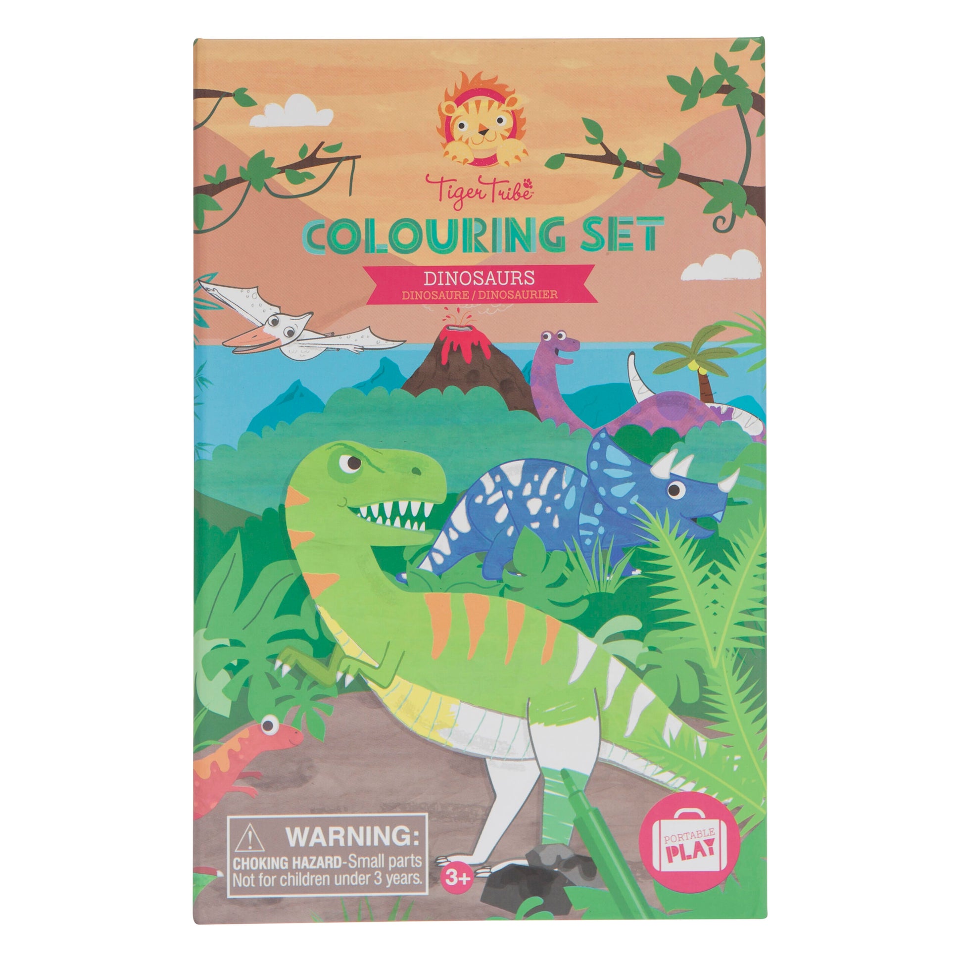 Dinosaurs colouring set
