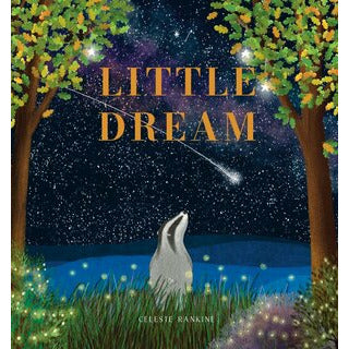Little Dream Cover